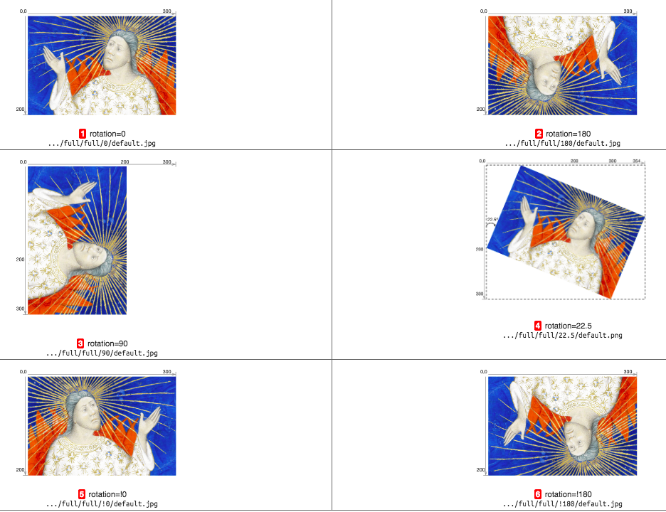 2021_002_mertens/bildbestaende_2021_006.png
